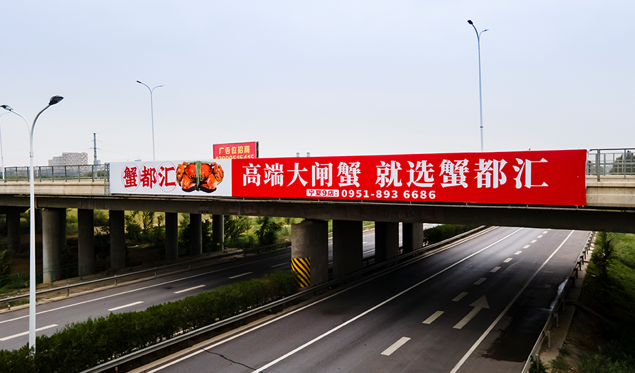 京藏高速贺兰山收费站跨线桥-蟹都汇