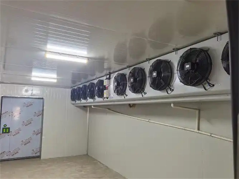 郑州速冻库安装厂家