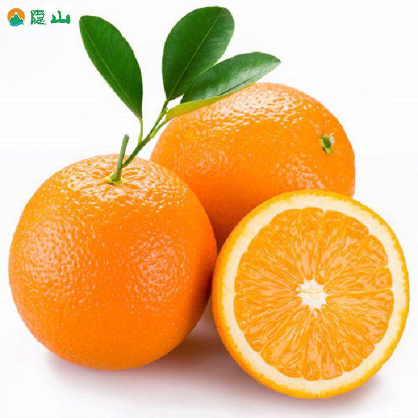 开封橙子