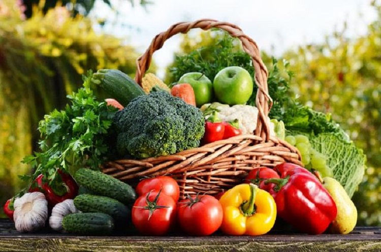 十月份有哪些当季蔬菜？郑州蔬菜配送公司告诉你