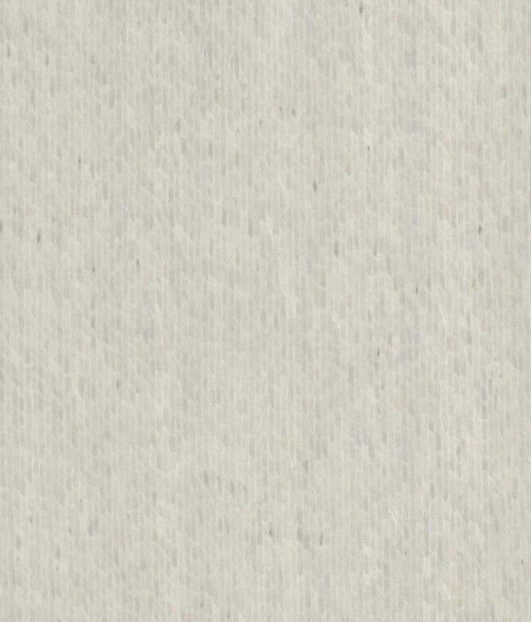 银龙皮 2906
