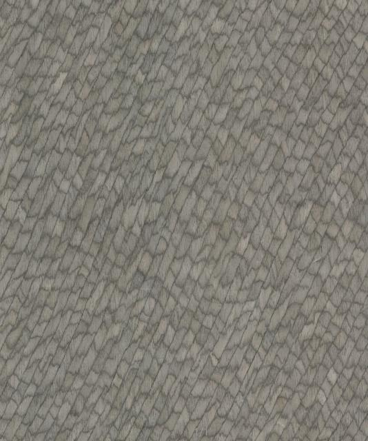 银鳄鱼皮 3294