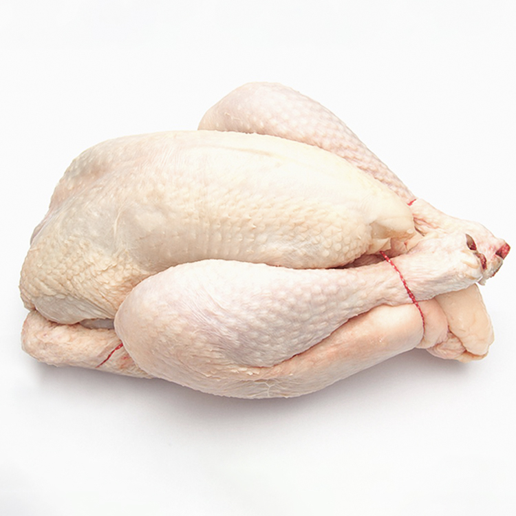 郑州鸡肉 CHICKEN