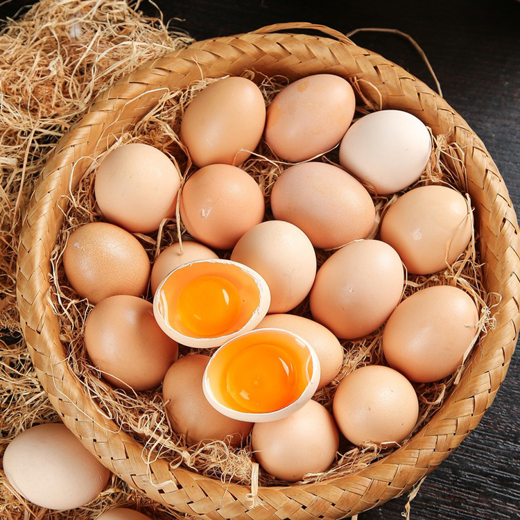 郑州鸡蛋 EGG