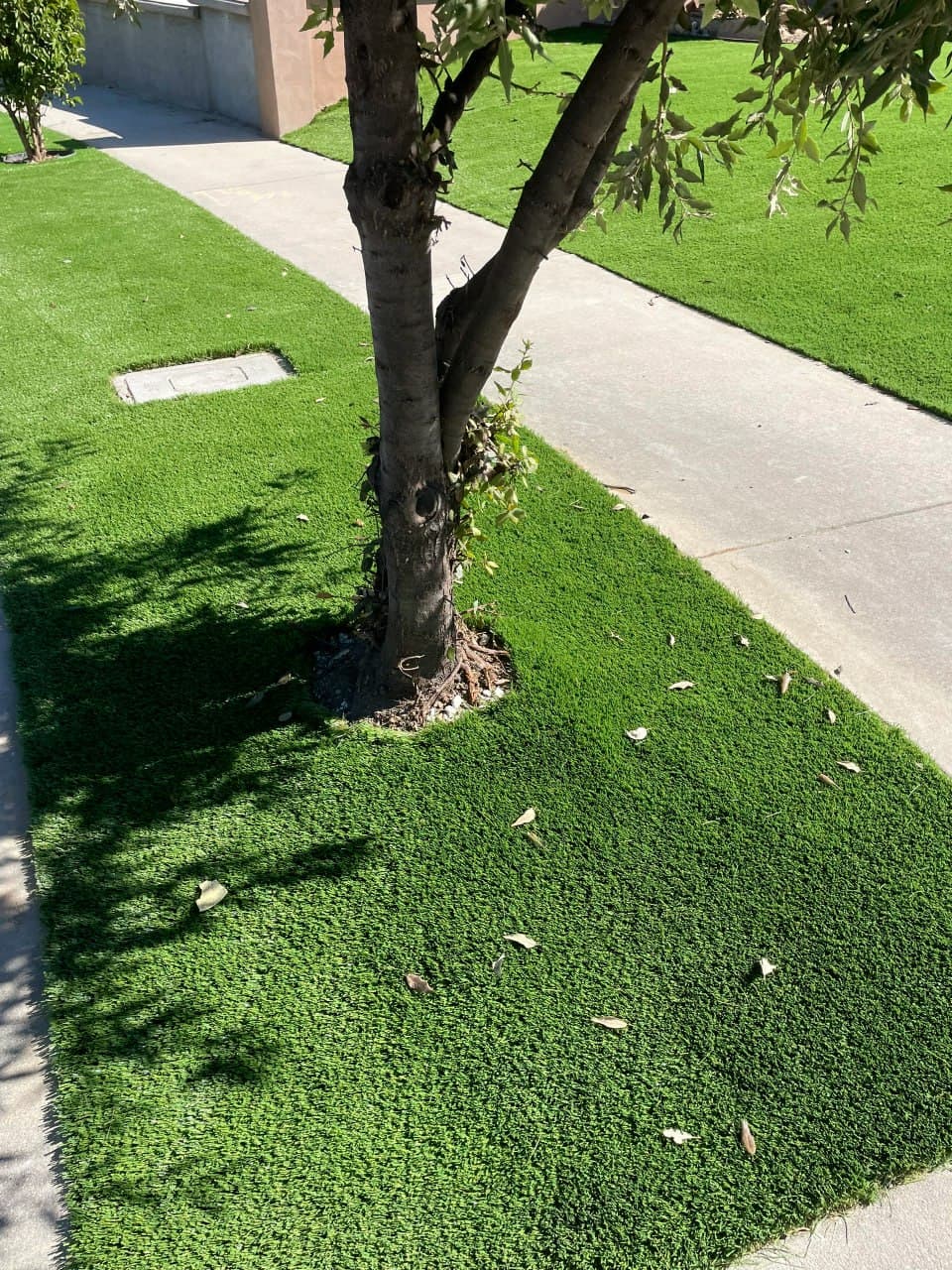 自己会长，越久越牢固