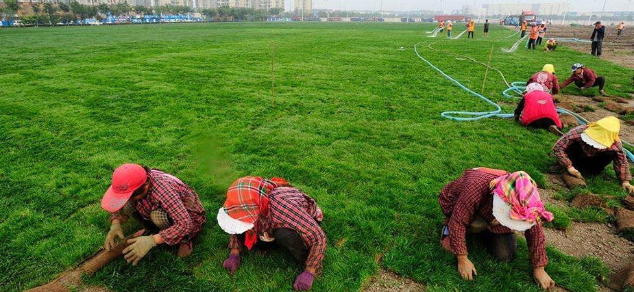 温江区川青园艺场