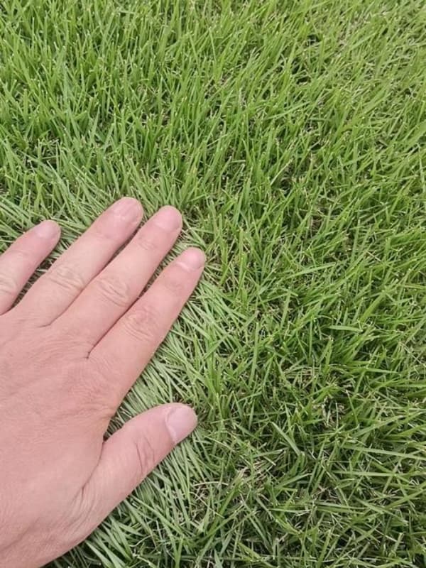 马尼拉多少钱一平方