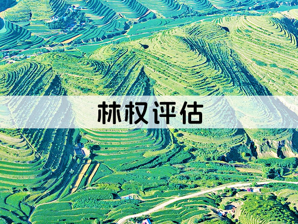 兰州林权评估