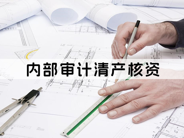 兰州内部审计清产核资