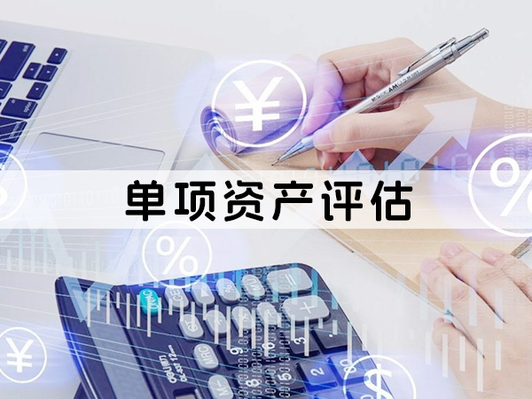 兰州单项资产评估