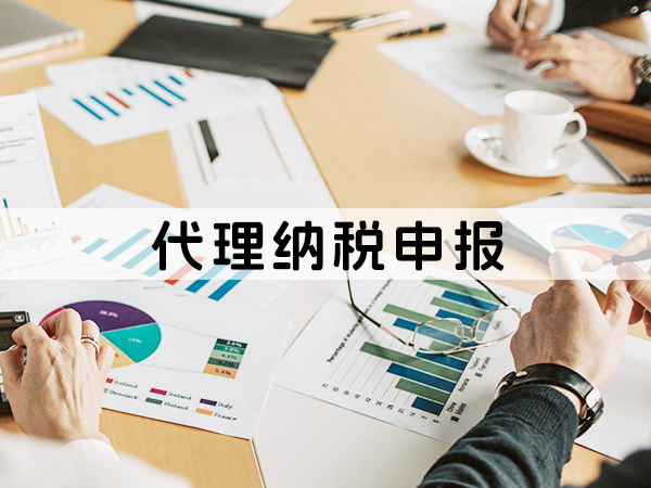 兰州代理纳税申报