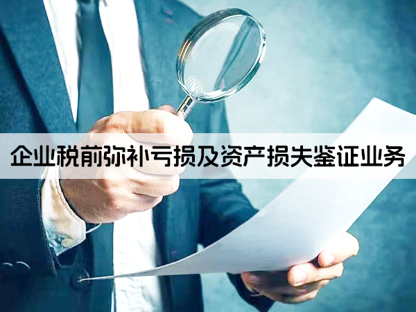 兰州企业税前弥补亏损及资产损失鉴证业务