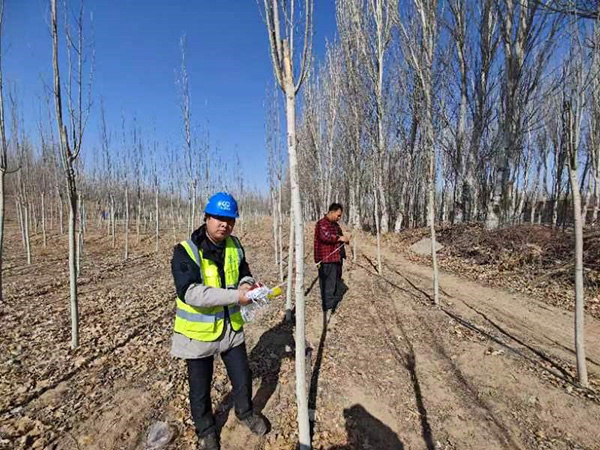 银川都市圈城乡西线供水工程石嘴山支线输水管线K18-K36段地面附着物及施工造成农作物降水减产评估项目
