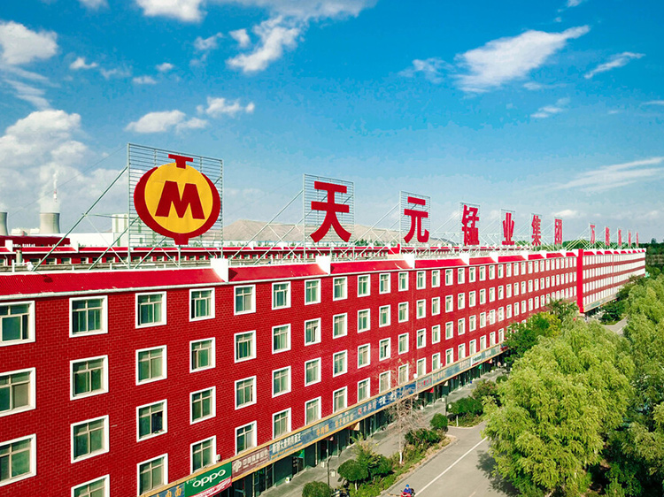 宁夏天元锰业集团有限公司