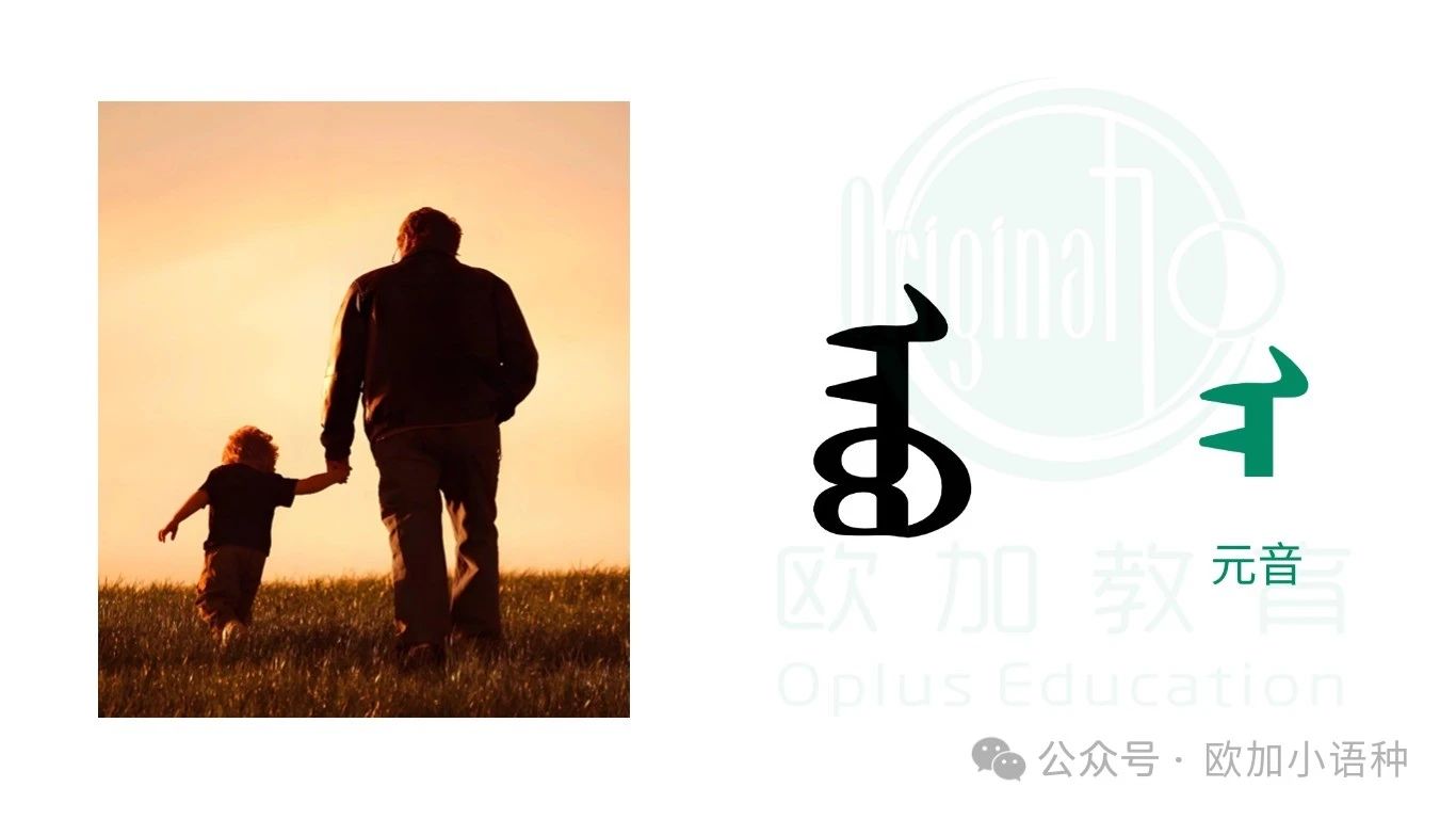 语言交流 | 蒙古语 音节类型