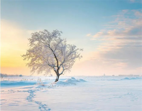 大雪至，歲暮遲