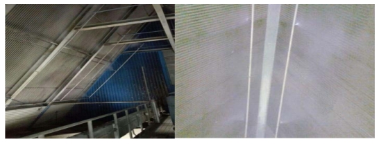 新疆空冷岛自动清洗技术在工业清洗的应用