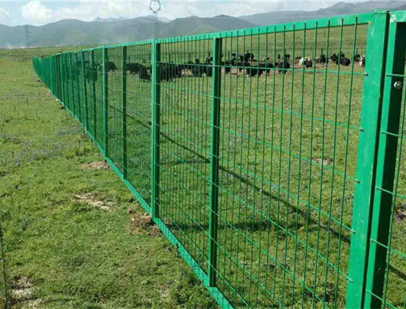 成都护栏网批发品牌推荐及选择技巧