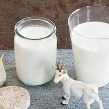 秦王乳业分享|关于“羊奶粉”认知的四个误区