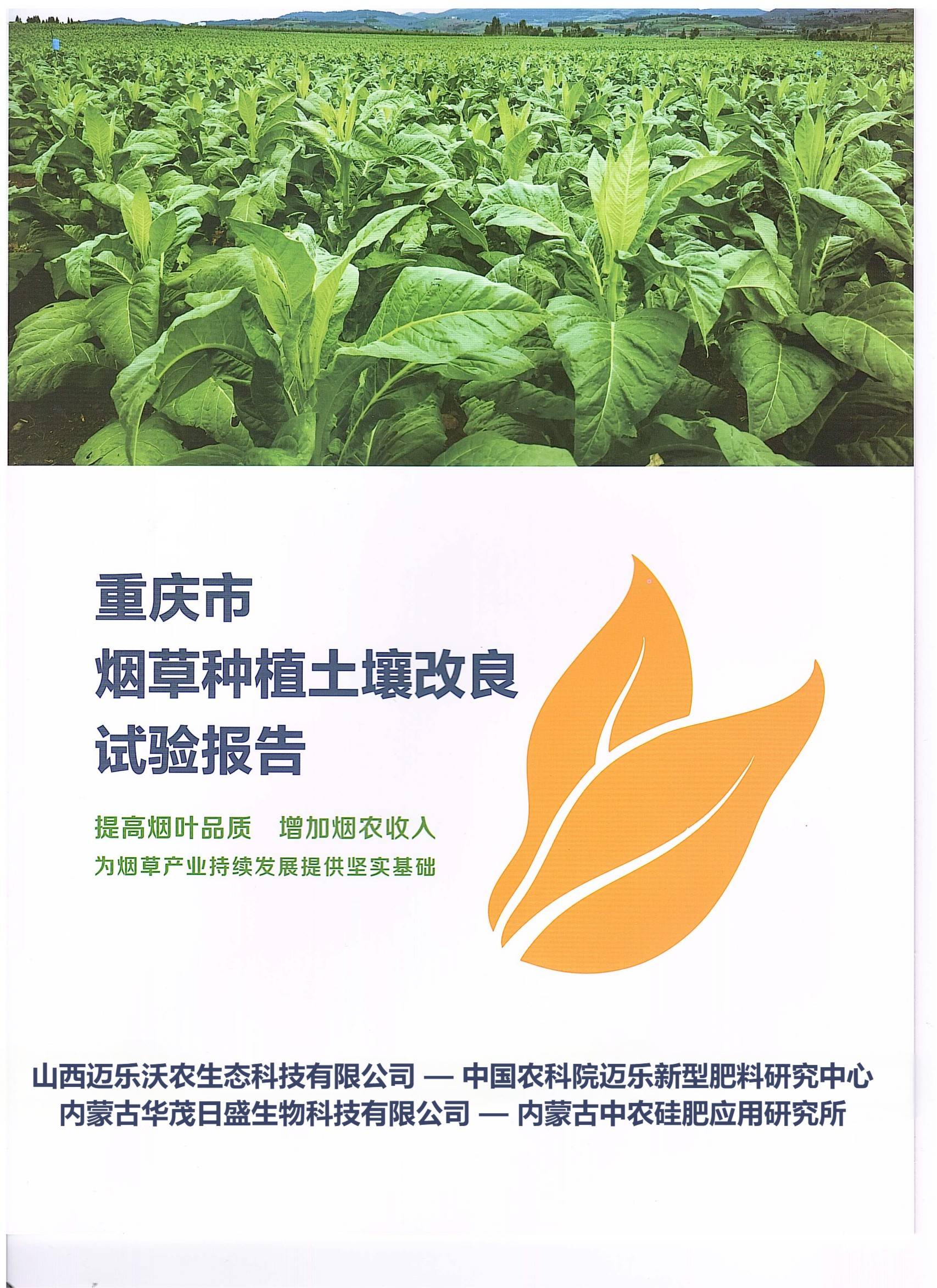 烟草实验报告