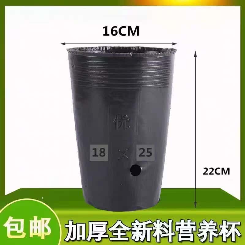 陕西营养杯定制工厂