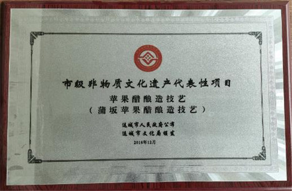 市级非物质文化遗产代表性项目