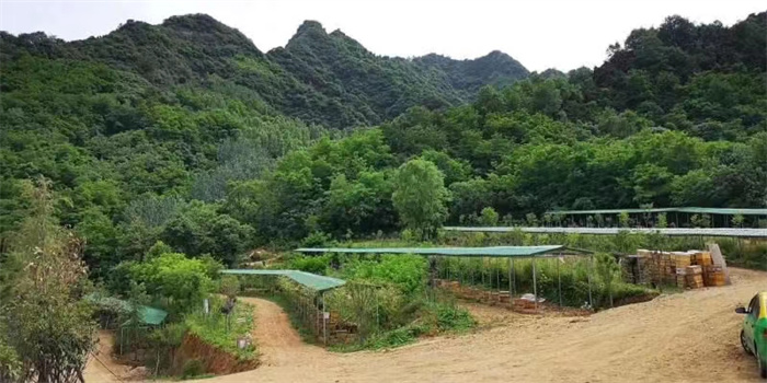 采蜜基地