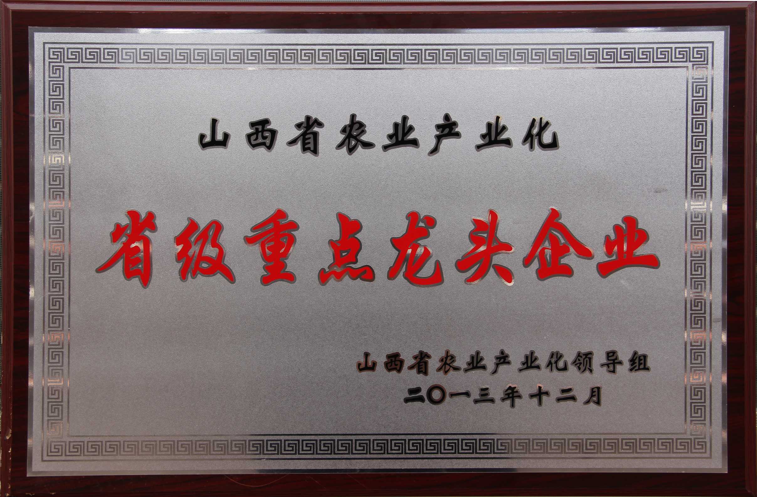 省級(jí)重點(diǎn)企業(yè)