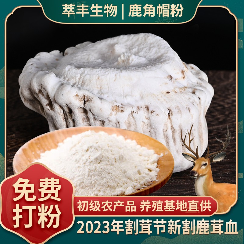 鹿角盤粉