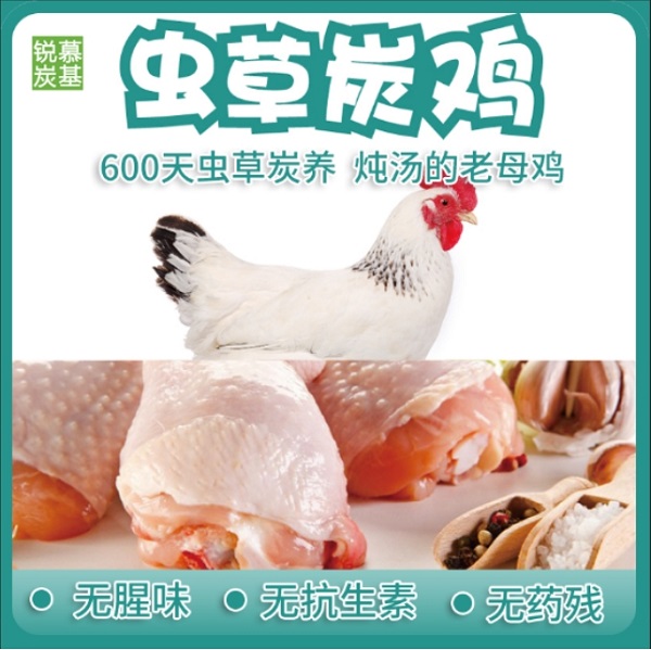 虫草炭鸡