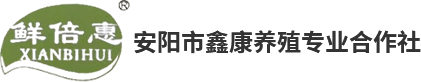 安阳市鑫康养殖专业合作社