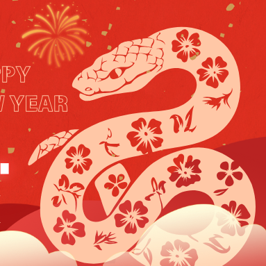 四川蛇來(lái)運(yùn)轉(zhuǎn)，年味爆棚！你想要的新年氛圍布置都在這兒了！