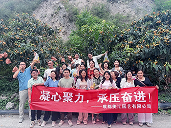“凝心聚力，承压奋进” ——美汇园艺汶川团建活动圆满举行