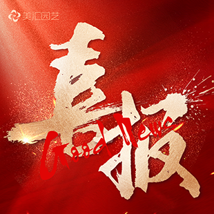 喜報 | 美匯成功中標興蓉再生能源2025年綠植養(yǎng)護項目！