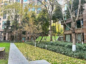 你家小区绿化及格吗？美汇园艺给出“体检报告”