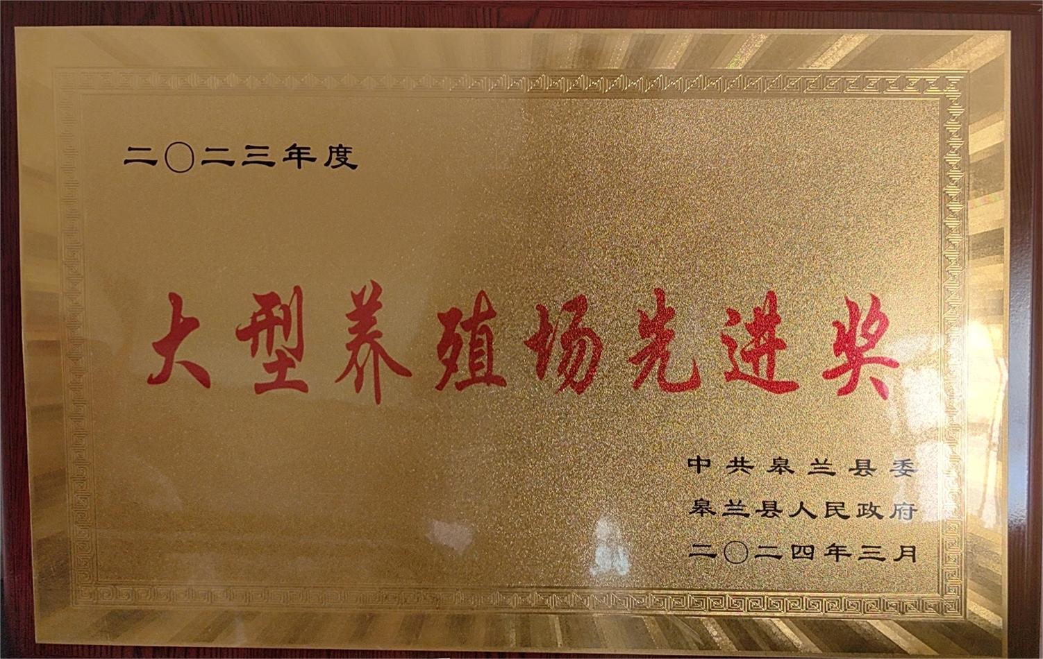 荣誉证书
