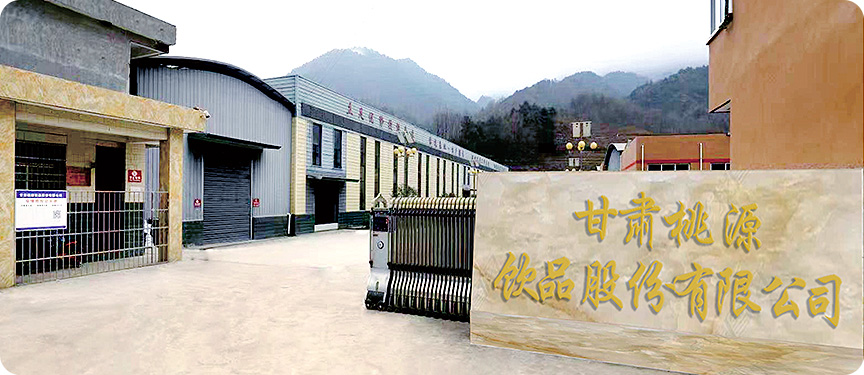 甘肃桃源饮品股份有限公司