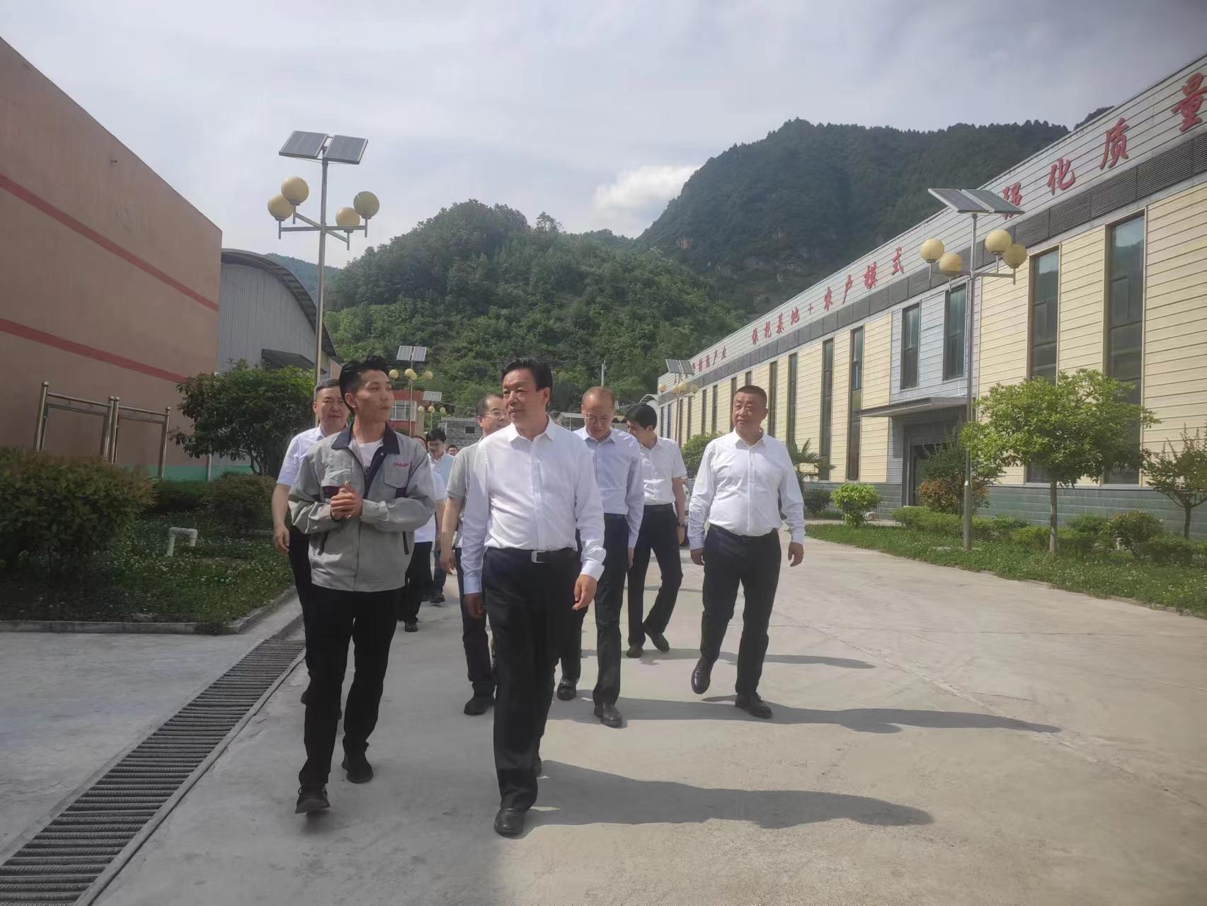 公司基地