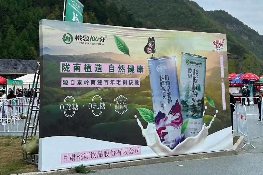 陇南康县王坝工业园区企业专注于研发、生产和销售高品质的核桃植物奶饮品