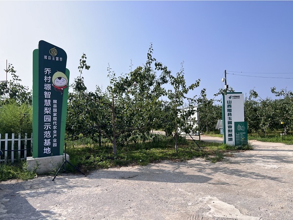 果园实拍