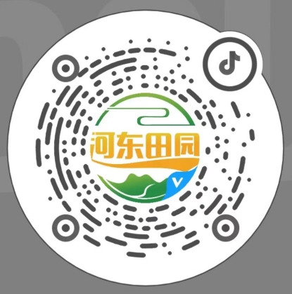 抖音