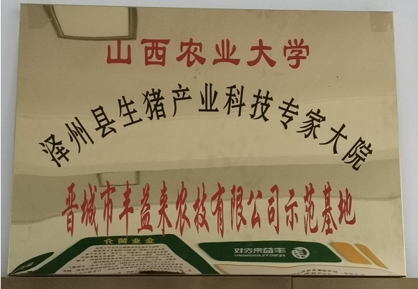 荣誉资质