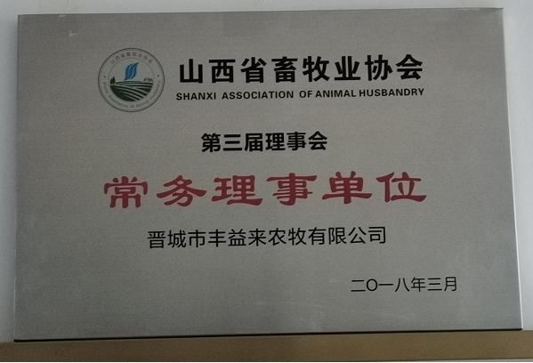 荣誉资质