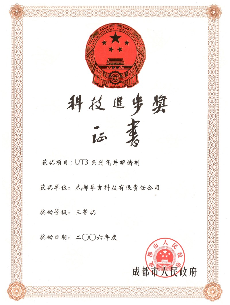 2006年获成都市三等奖（UT3系列解堵剂）