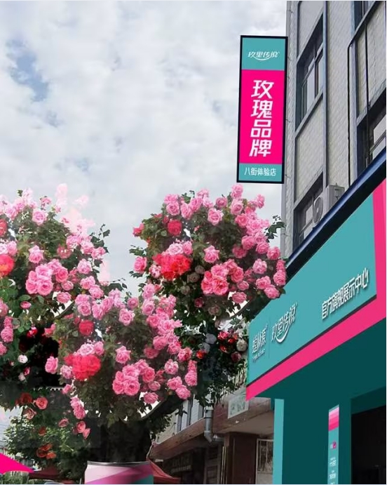 公司環(huán)境