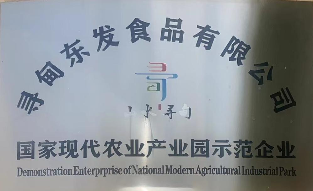国家现代化产业
