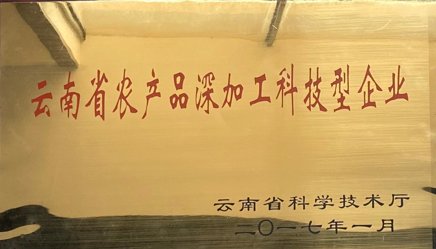 深加工科技型