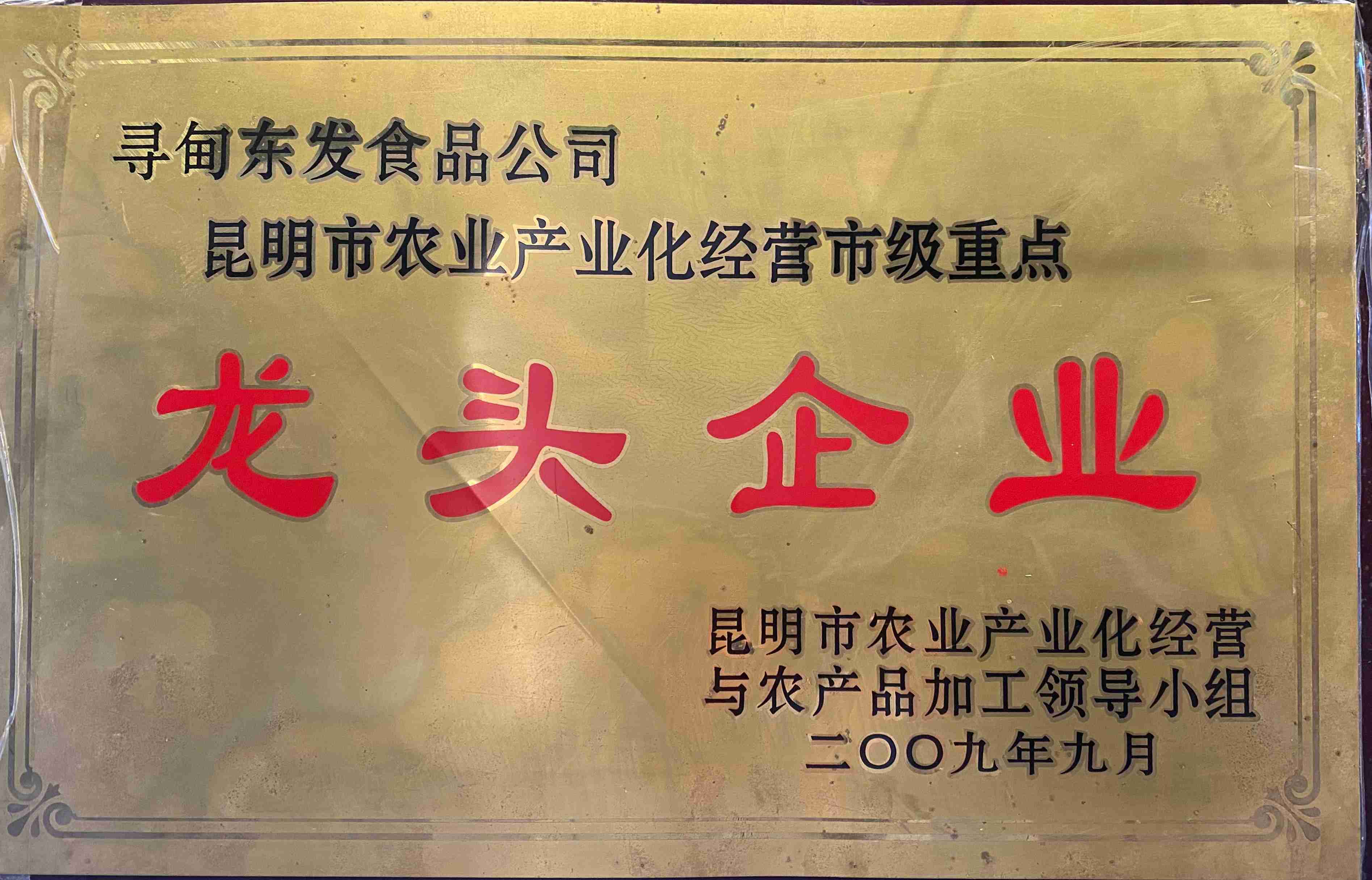 2009农业产业化