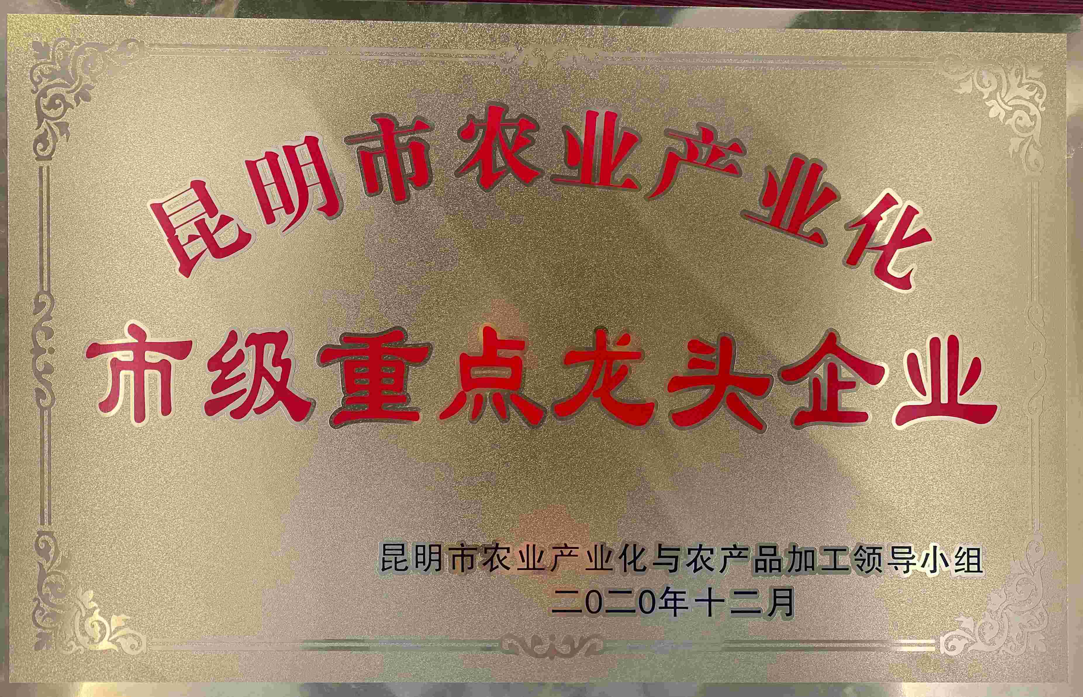 2020农业产业化