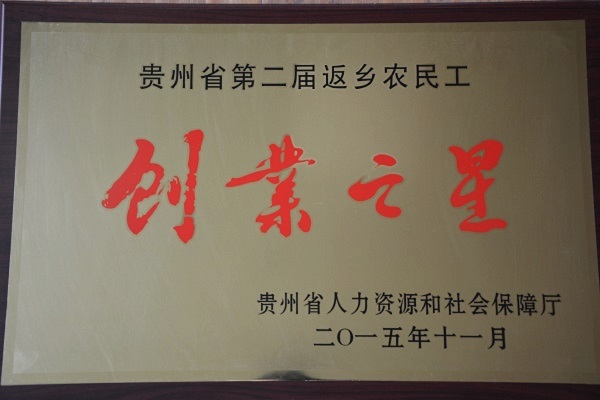 榮譽(yù)資質(zhì)